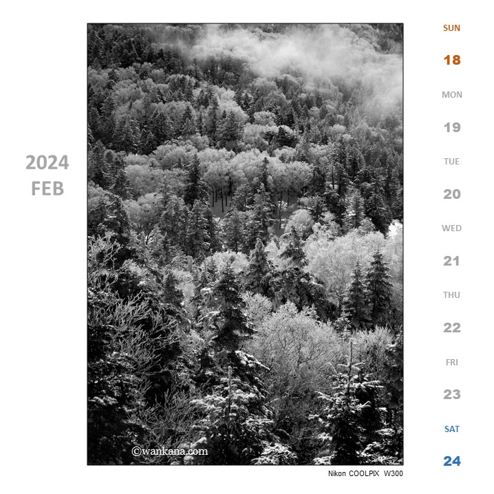 風景３2、、志賀高原　日本、2023年